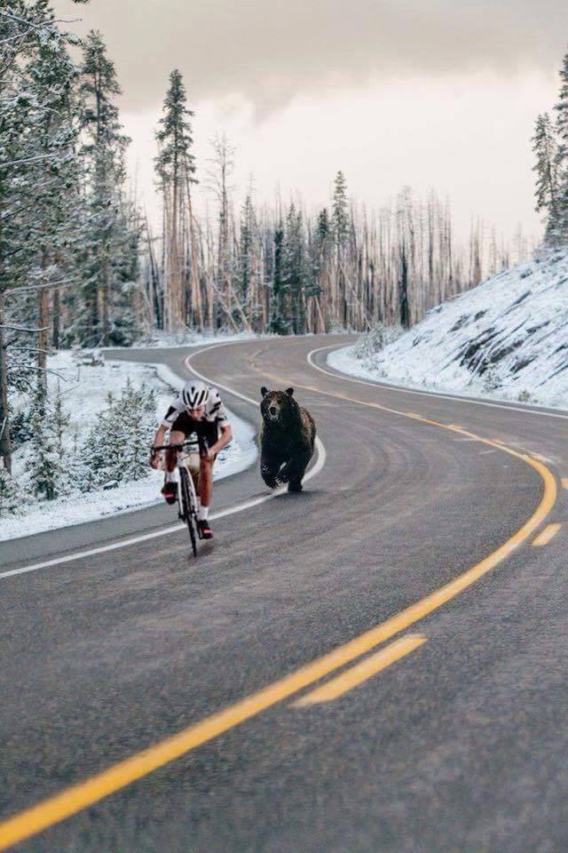 Meal on Wheel