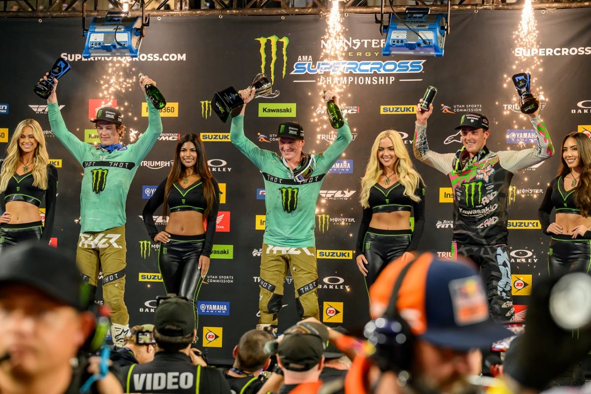 Web Tampa Max Anstie